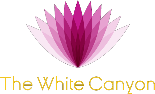 logo1